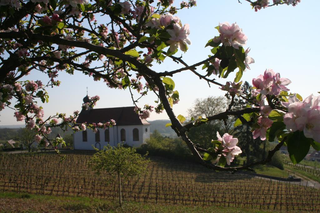 Villa Mandelblüte Gleiszellen-Gleishorbach Oda fotoğraf