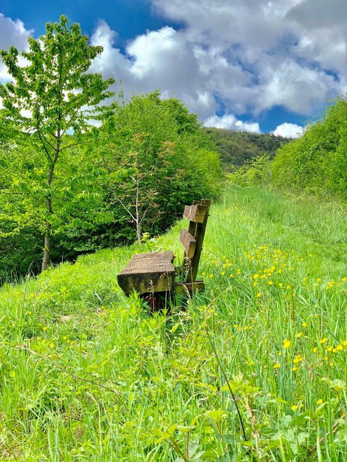 Villa Mandelblüte Gleiszellen-Gleishorbach Dış mekan fotoğraf