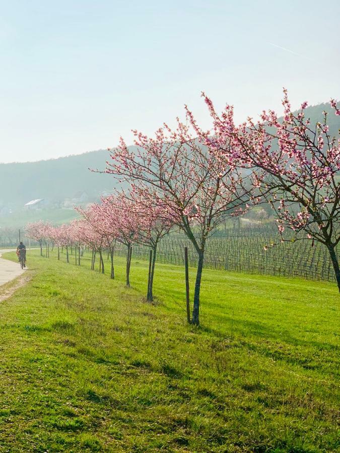 Villa Mandelblüte Gleiszellen-Gleishorbach Dış mekan fotoğraf