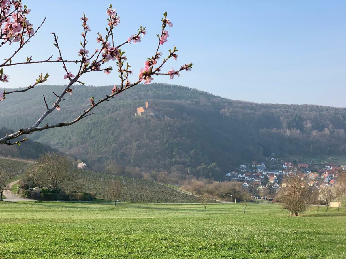 Villa Mandelblüte Gleiszellen-Gleishorbach Dış mekan fotoğraf