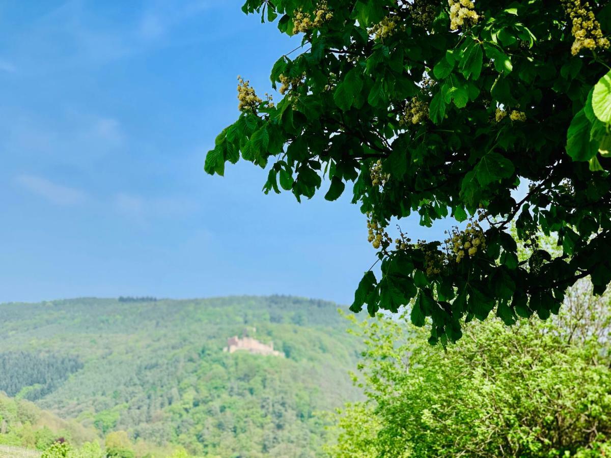 Villa Mandelblüte Gleiszellen-Gleishorbach Dış mekan fotoğraf